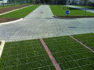 AS-TTE ROSTY - zatravnenie