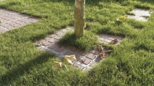 AS-TTE ochrana stromov