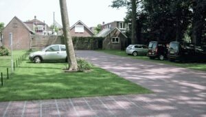 AS-TTE ochrana stromov