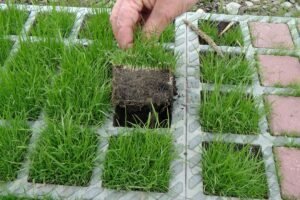 Zelené parkovacie miesta ako vizitka